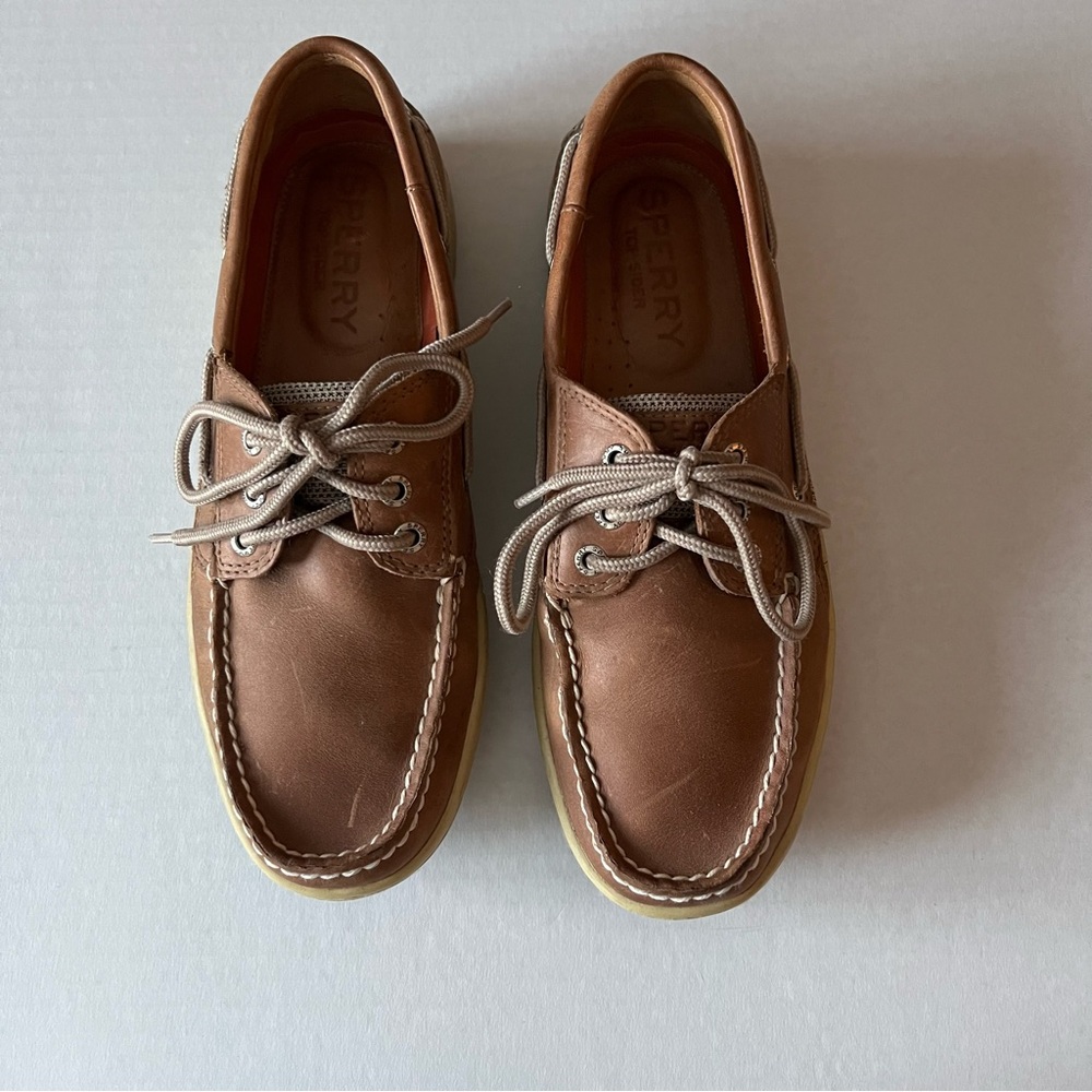 Sperry Men's Brown Boat Shoes